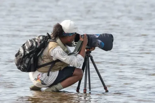Na Lagoa do Peixe fotografando os flamingos chilenos