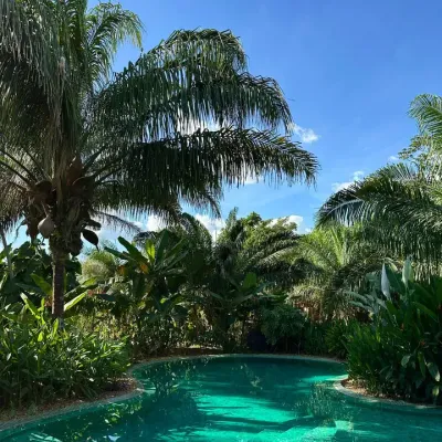 Ambiente 1 - Fazenda Anacã
