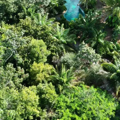 Ambiente 3 - Fazenda Anacã