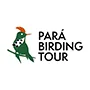 Pará Birding Tour